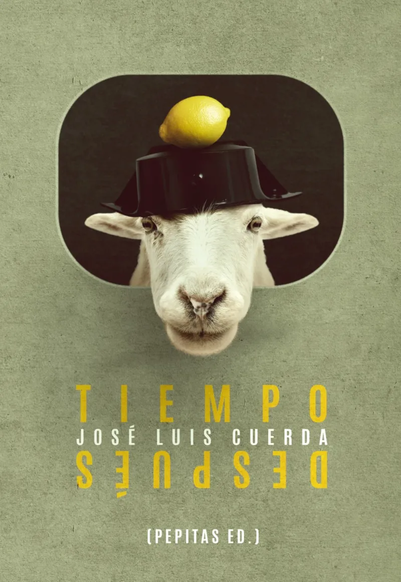 TIEMPO DESPUES
