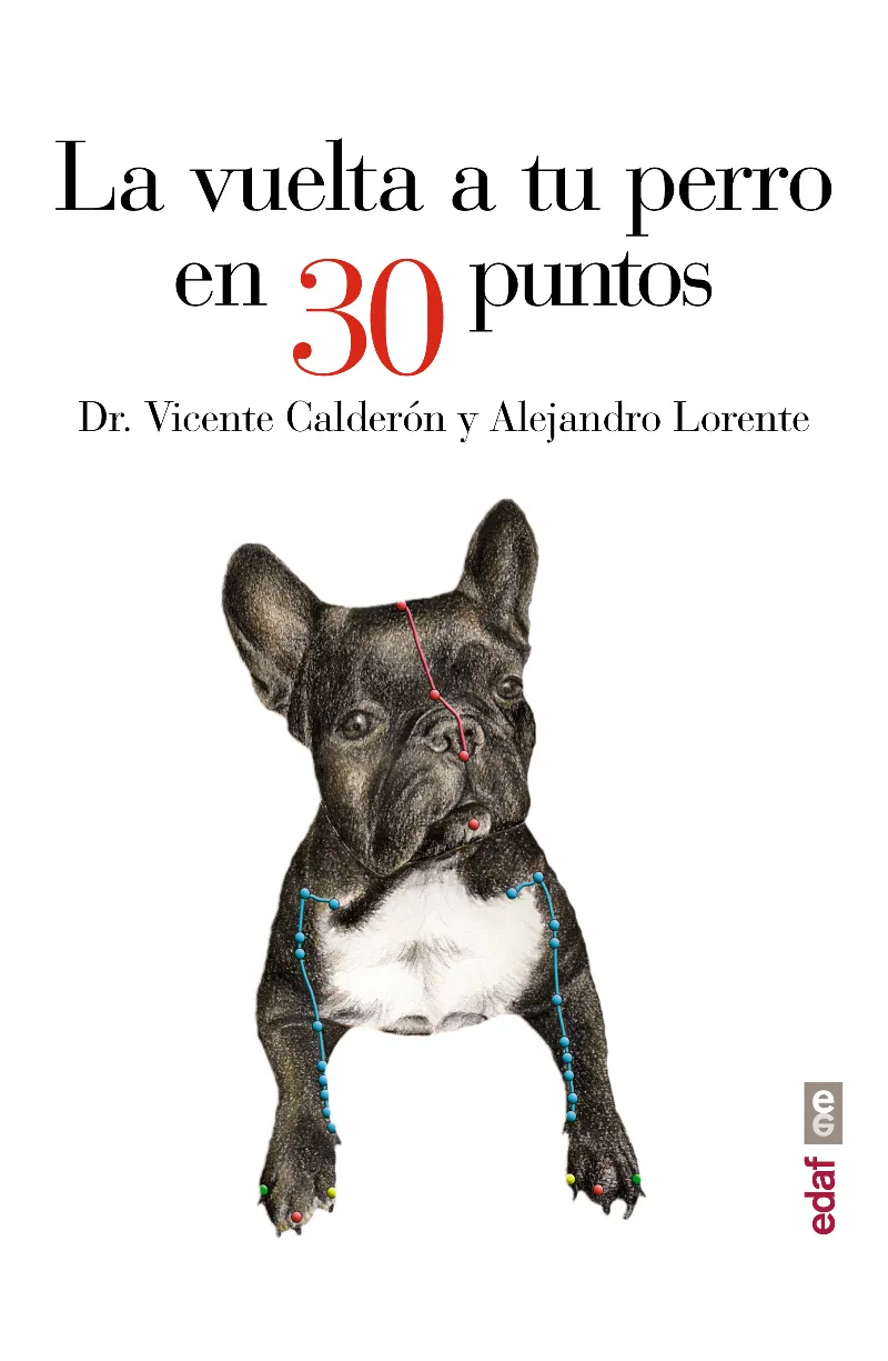 VUELTA A TU PERRO EN 30 PUNTOS,LA