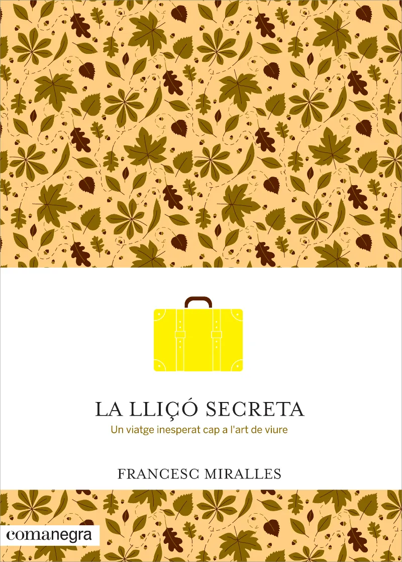 LLIÇO SECRETA,LA -UN VIATGE INESPERAT CAP A L'ART DE VIURE-