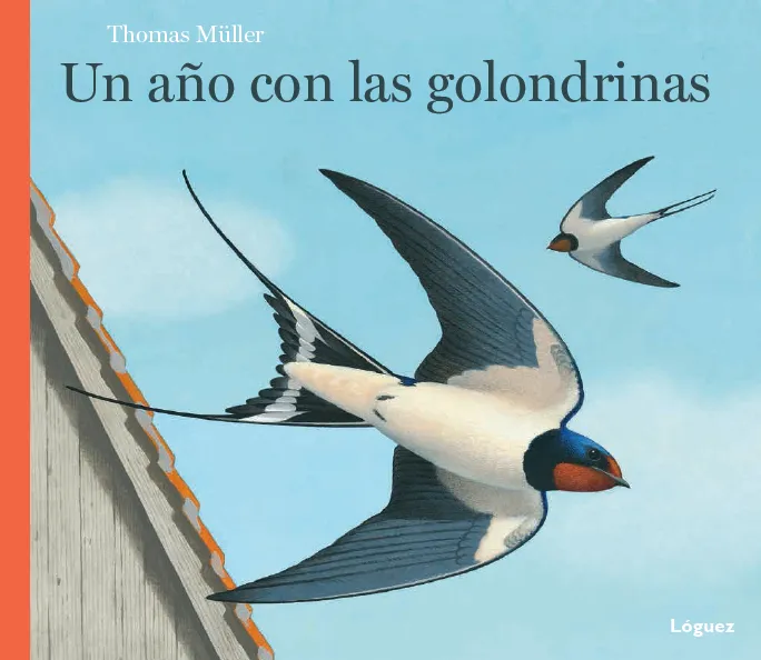AÑO CON LAS GOLONDRINAS, UN