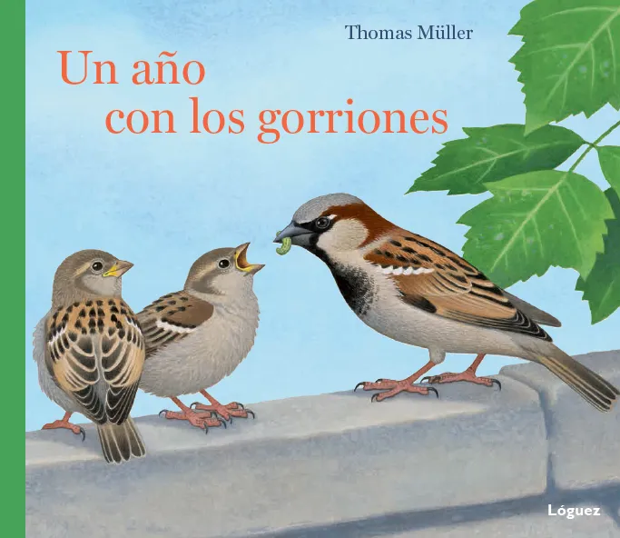 AÑO CON LOS GORRIONES, UN