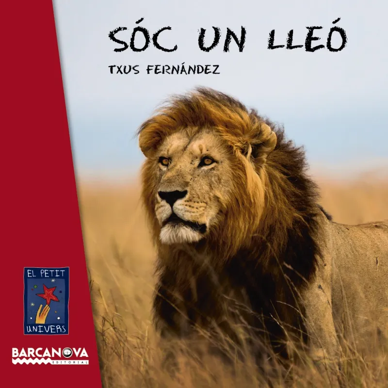 SOC UN LLEO -LLETRA PAL -