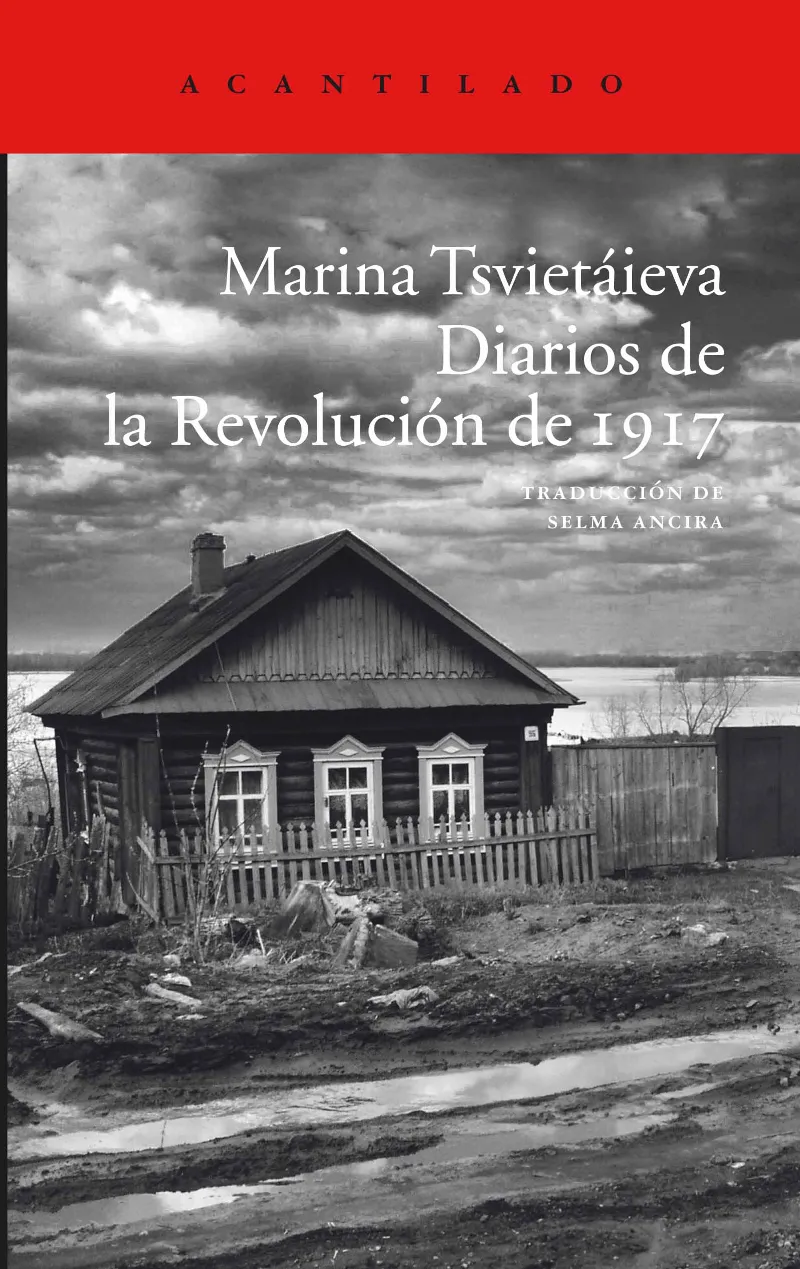 DIARIOS DE LA REVOLUCION DE 1917