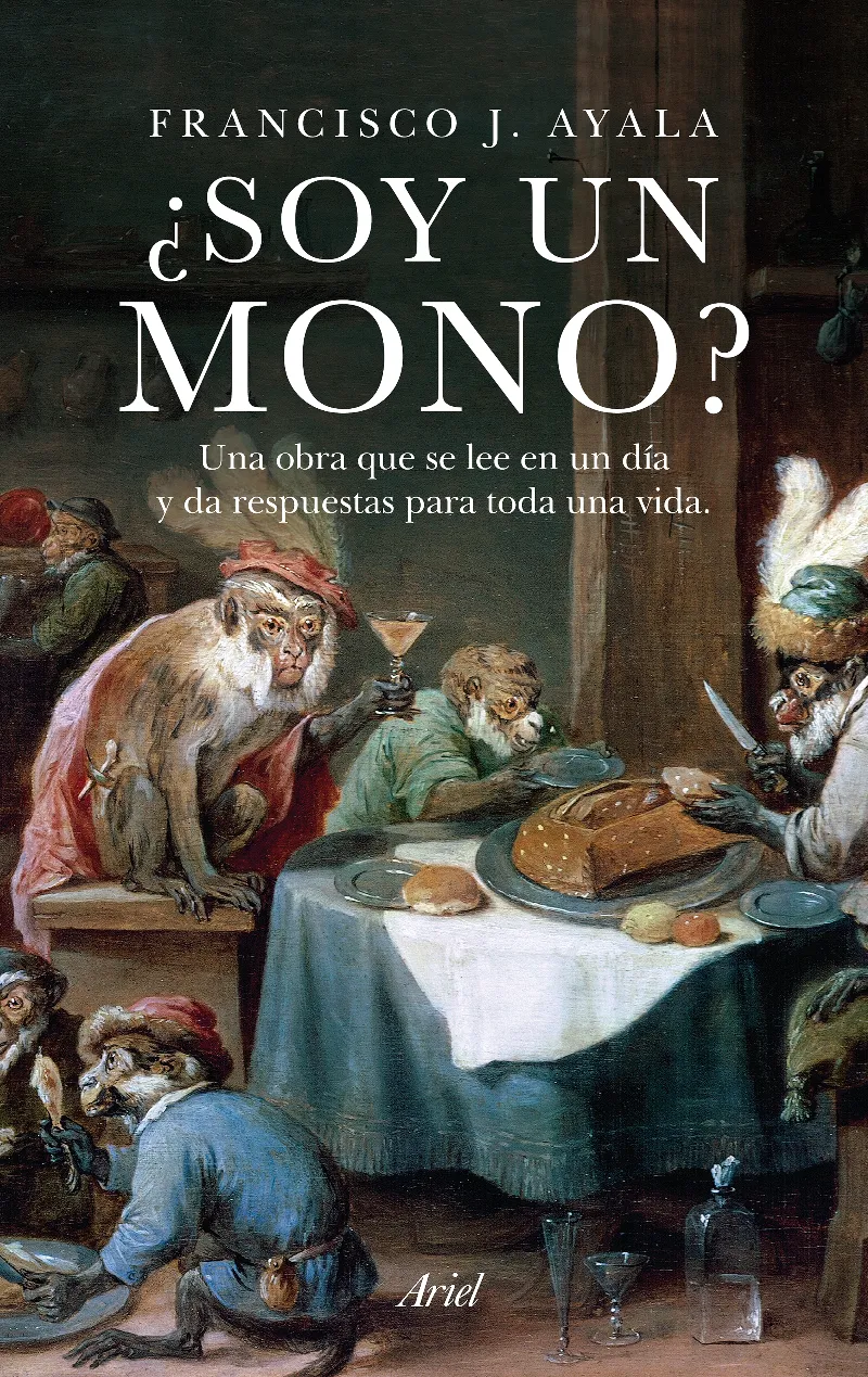 SOY UN MONO
