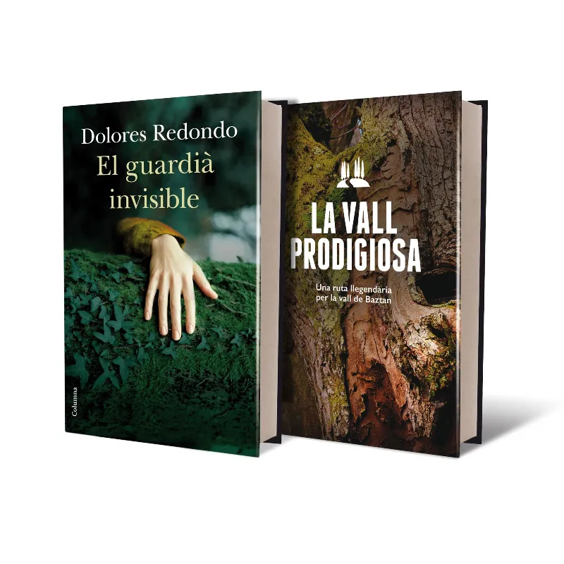 GUARDIA INVISIBLE,EL - + GUIA MAGICA DE BAZTAN-