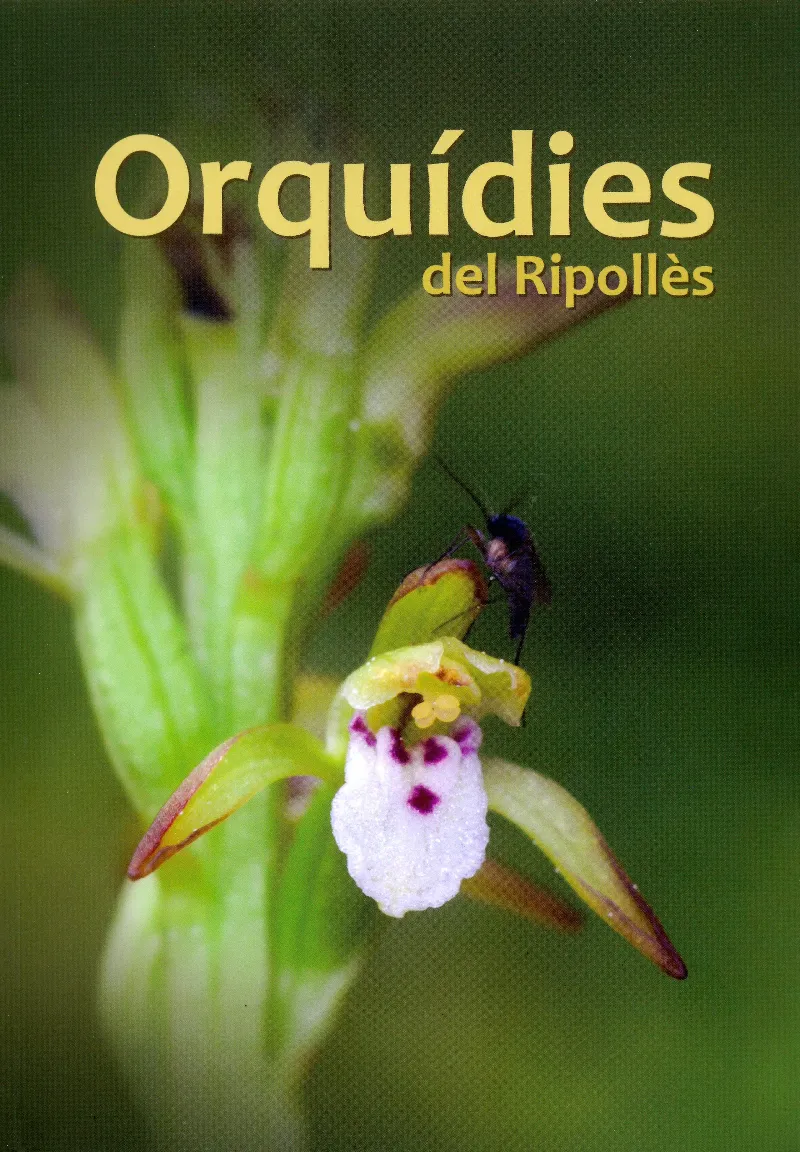 Orquídies del Ripollès