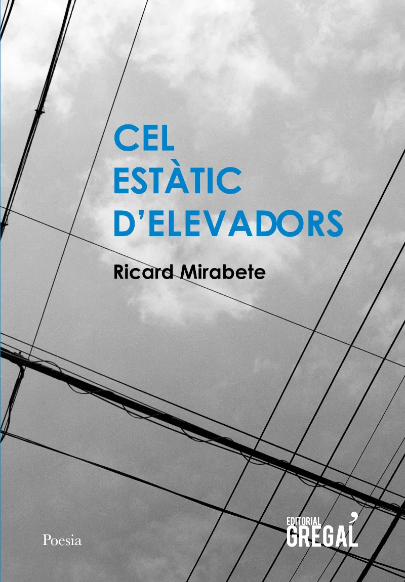 CEL ESTATIC D'ELEVADORS
