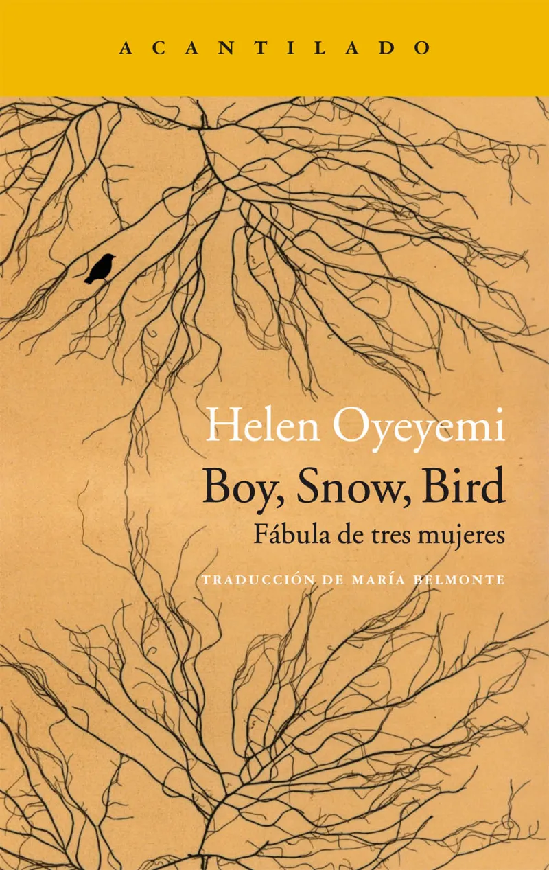 BOY SNOW BIRD -FABULA DE TRES MUJERES- TRADUCCION DE AMRIA BELMONTE