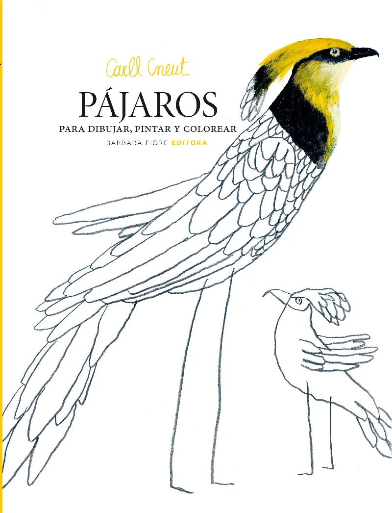 PAJAROS PARA DIBUJAR PINTAR Y COLOREAR