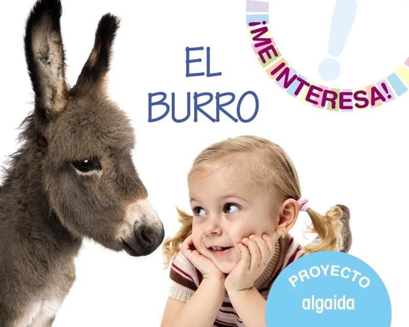 PROYECTO "EL BURRO"