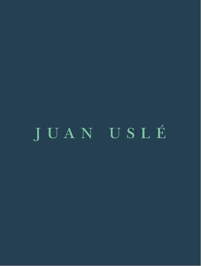Cuaderno de Artista de Juán Uslé
