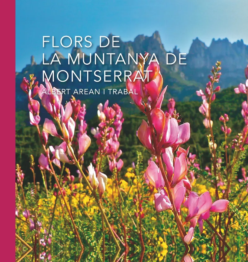 FLORS DE LA MUNTANYA DE MONTSERRAT