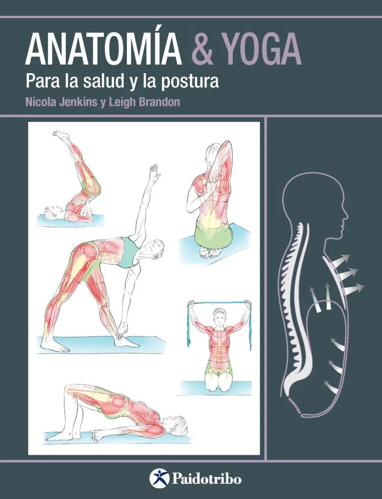 ANATOMÍA AND YOGA Para la salud y la postura