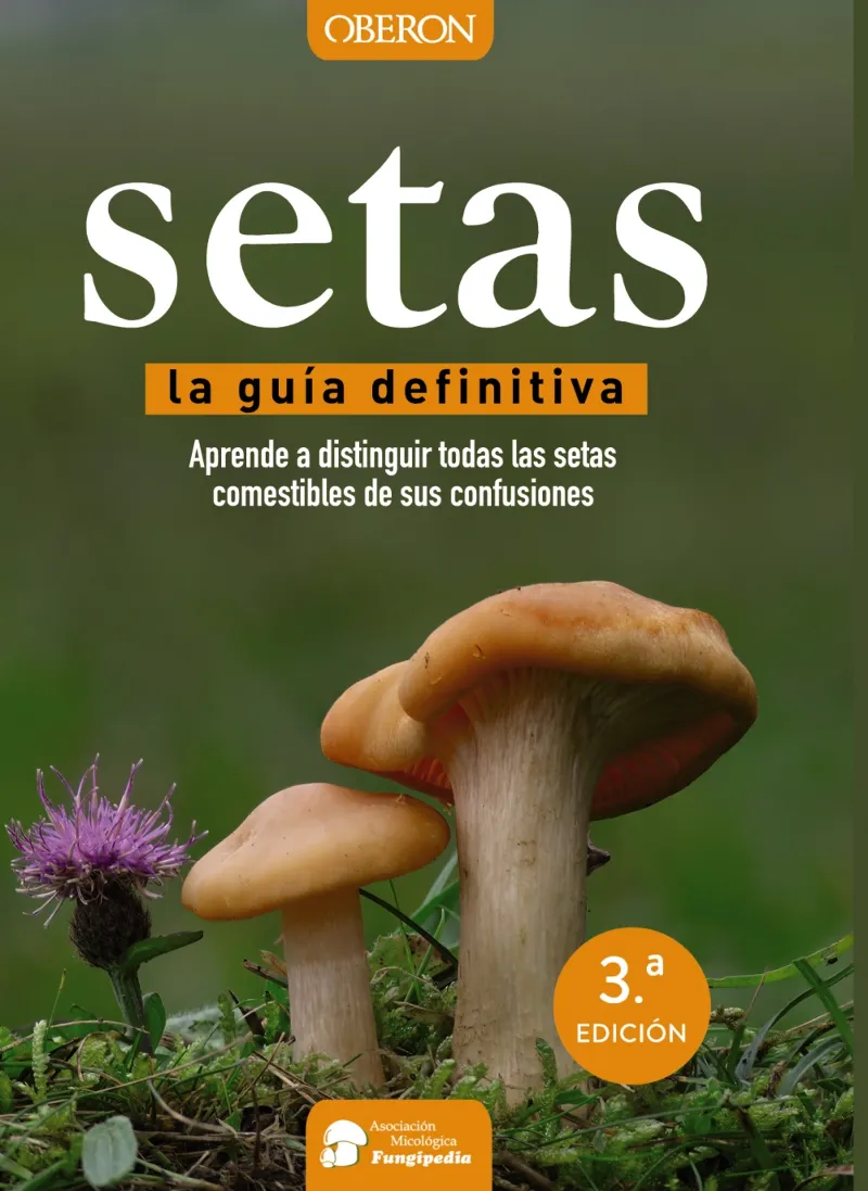 SETAS -GUIA DEFINITIVA-