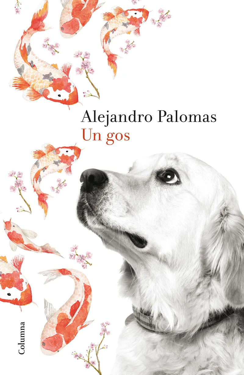 GOS, UN