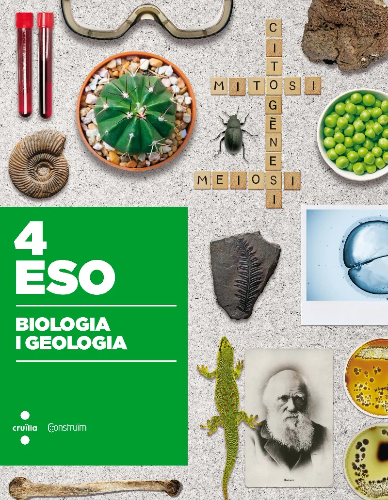 4t ESO BIOLOGIA I GEOLOGIA CONSTRUÏM 16