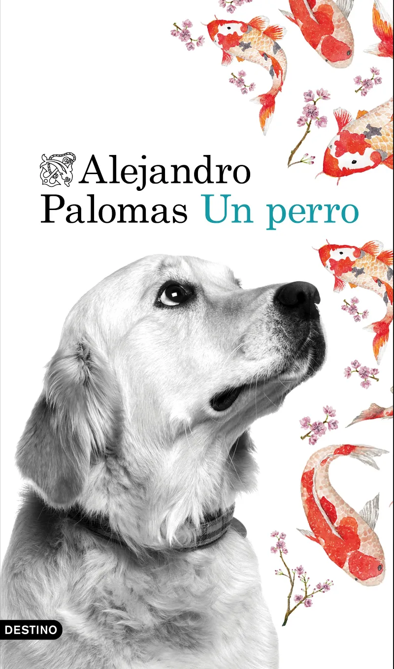 PERRO,UN
