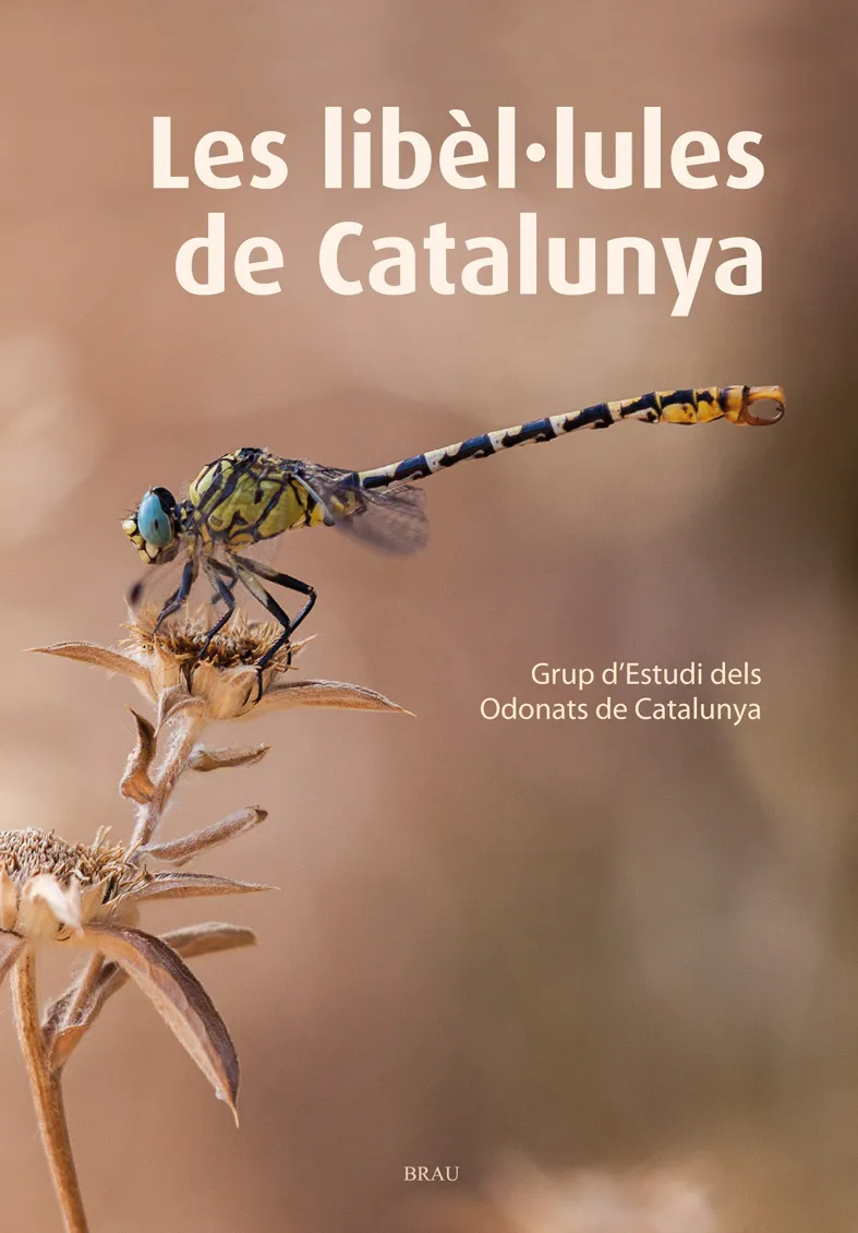 LIBEL.LULES DE CATALUNYA, LES