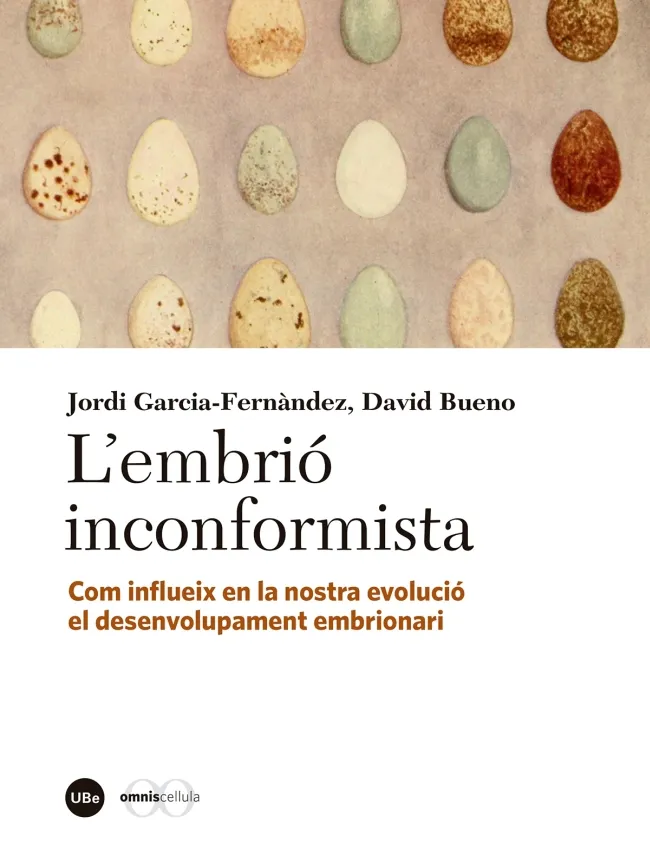 EMBRIO INCORFORMISTA, L'