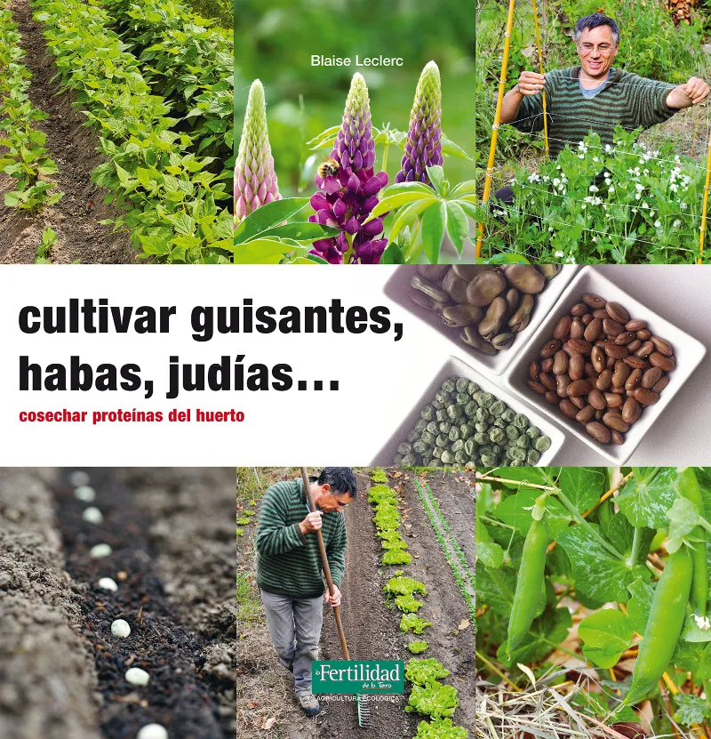 CULTIVAR GUISANTES HABAS JUDIAS..COSECHAR PROTEINAS DEL HUERTO