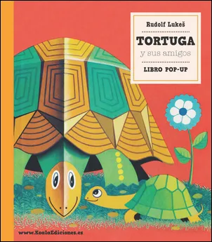TORTUGA Y SUS AMIGOS -LIBRO POP UP-