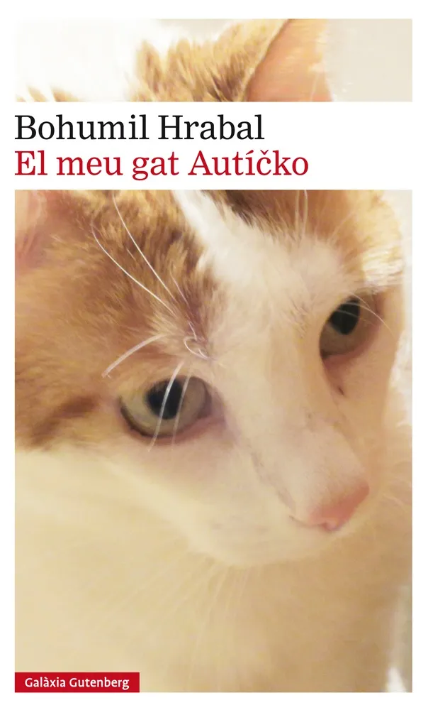 MEU GAT AUTICKO, EL
