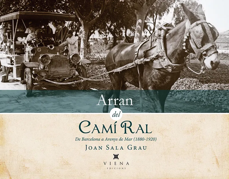 ARRAN DEL CAMI RAL
