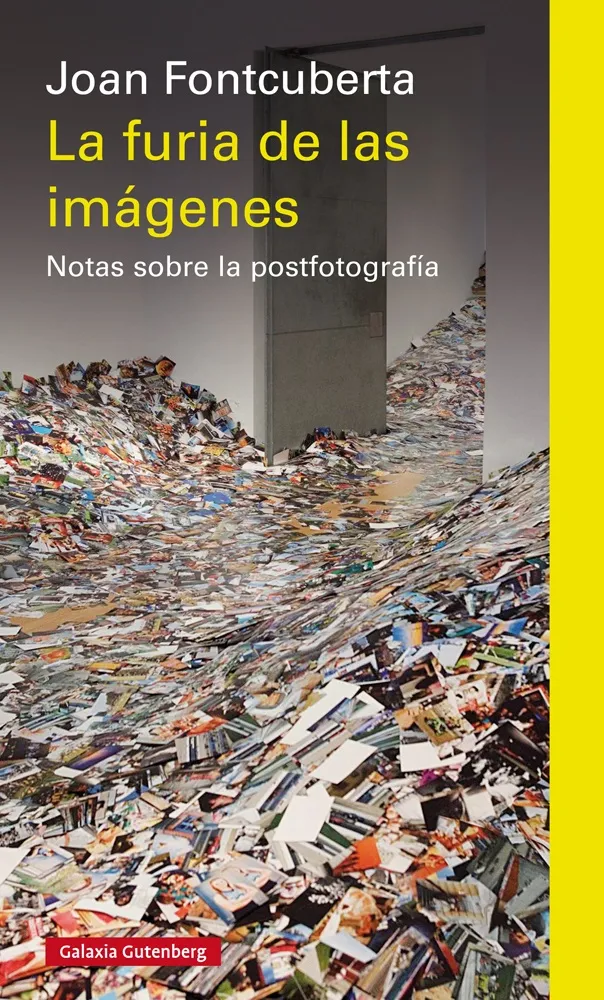 FURIA DE LAS IMAGENES, LA