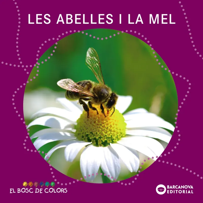 LES ABELLES I LA MEL (LLETRA PAL / LLETRA LLIGADA)