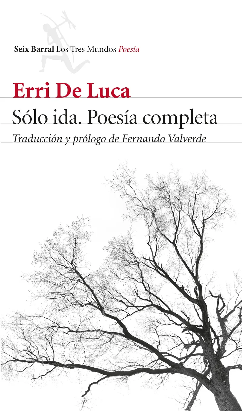 SOLO IDA