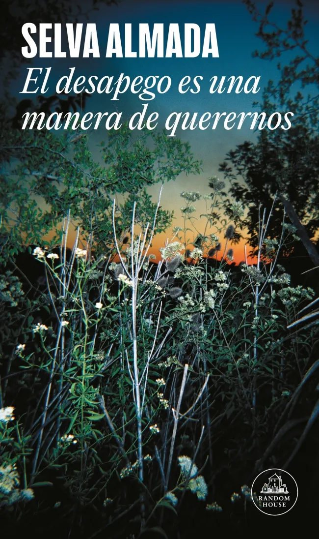DESAPEGO ES UNA MANERA DE QUERERNOS, EL