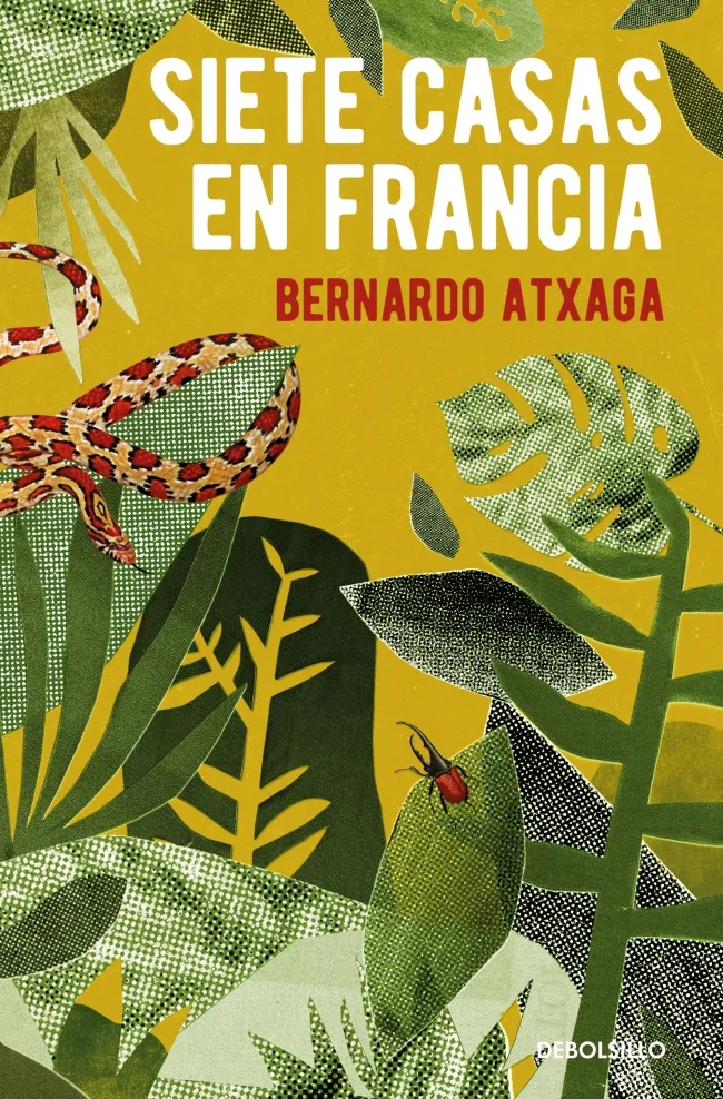 SIETE CASAS EN FRANCIA -BUTXACA-