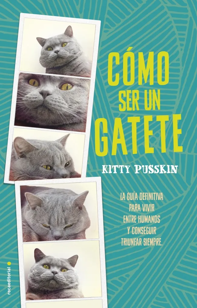 COMO SER UN GATETE
