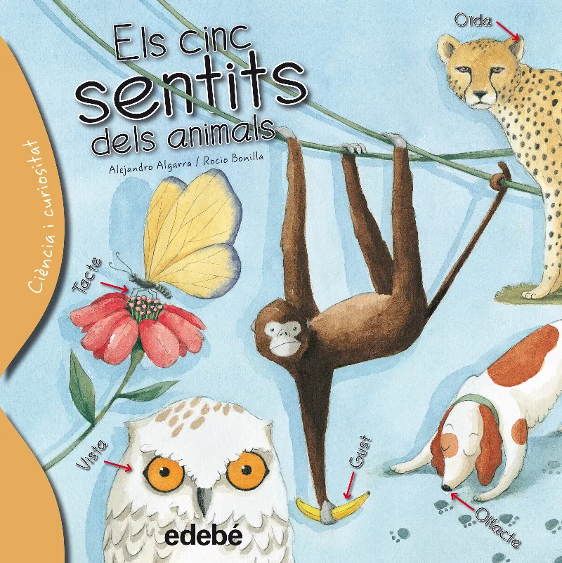 CINC SENTITS DELS ANIMALS, ELS