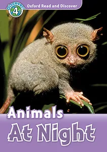 ANIMALS AT NIGHT