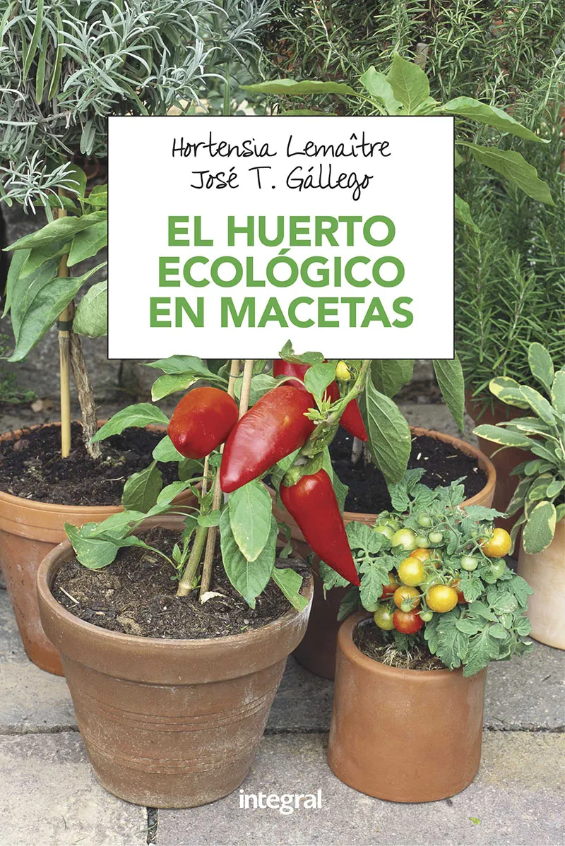 HUERTO ECOLOGICO EN MACETAS, EL