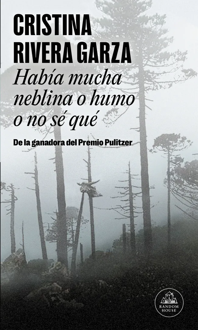 Había mucha neblina o humo o no sé qué (Mapa de las lenguas)
