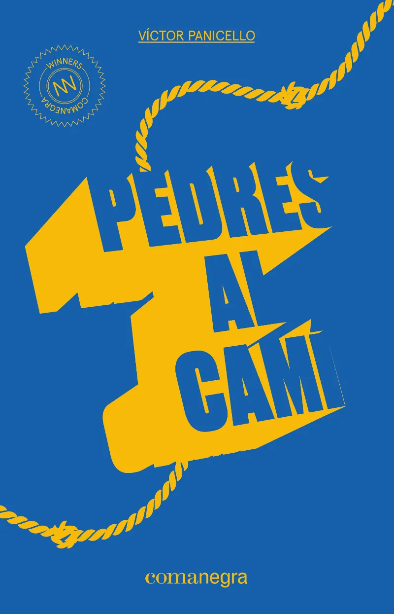 PEDRES AL CAMI