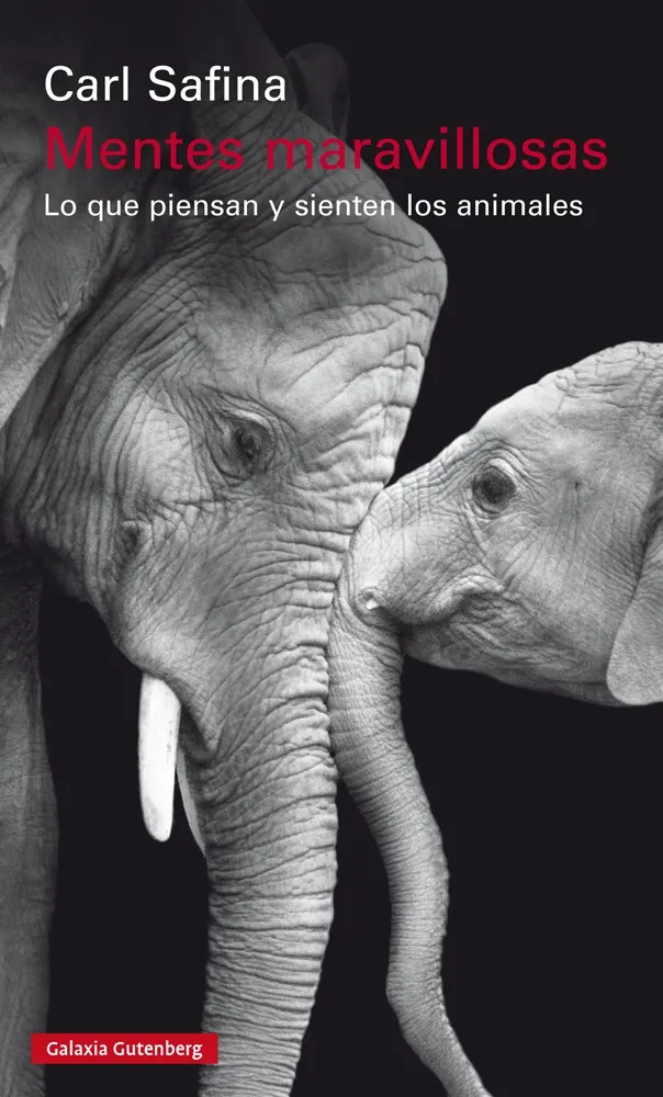 MENTES MARAVILLOSAS -LO QUE PIENSAN Y SIENTEN LOS ANIMALES-