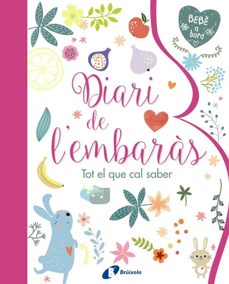 DIARI DE L'EMBARAS
