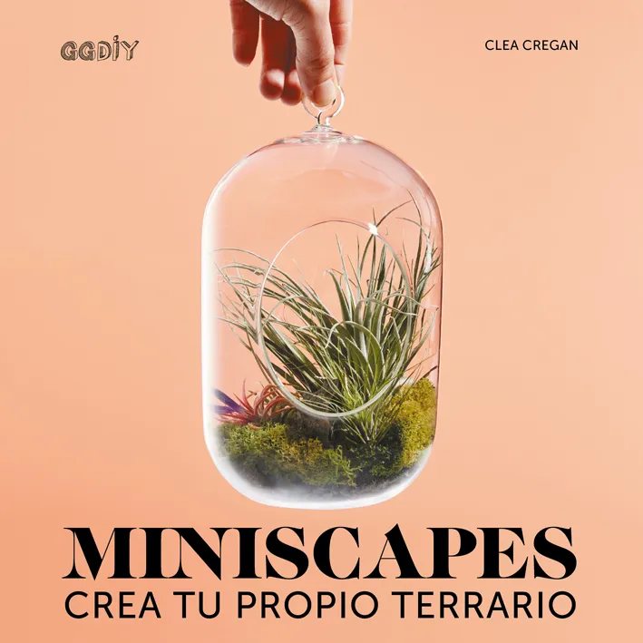 MINISCAPES CREA TU PROPIO TERRARIO