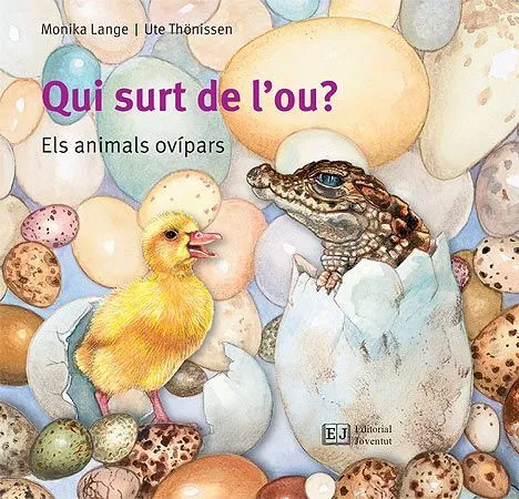 QUI SURT DE L'OU -ELS ANIMALS OVIPARS-