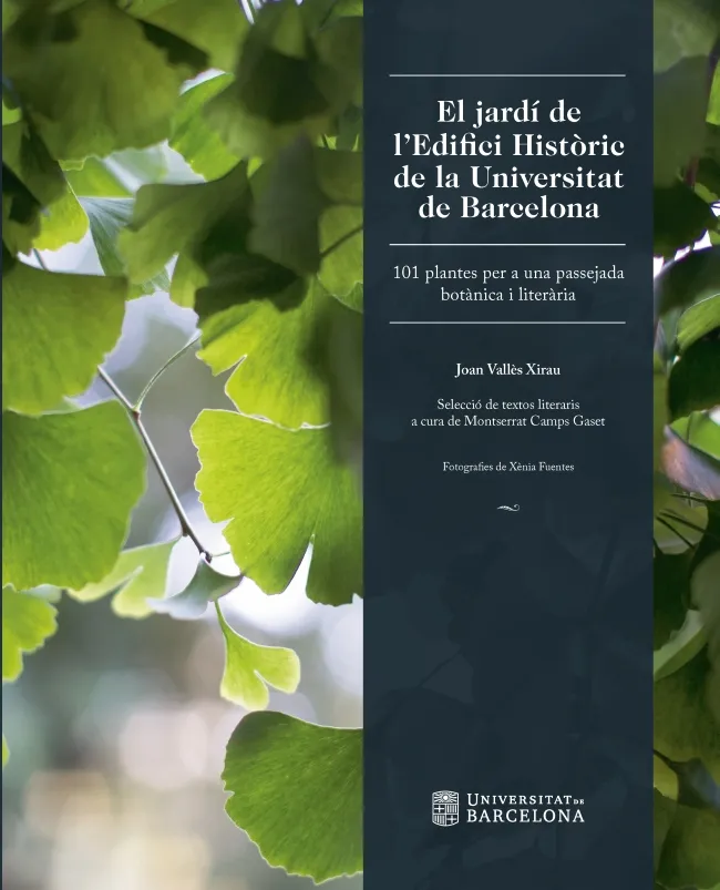 JARDI DE L'EDIFICI HISTORIC DE LA UNIVERSITAT DE BARCELONA, EL