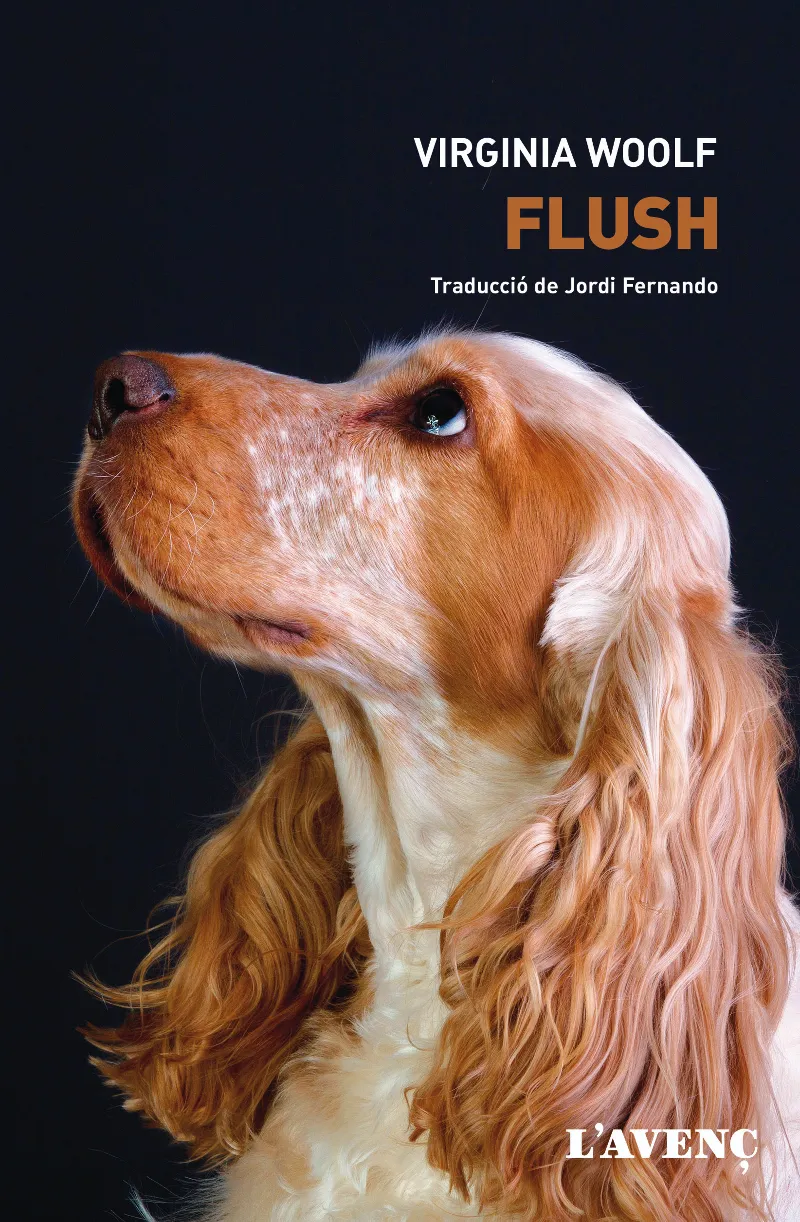 FLUSH