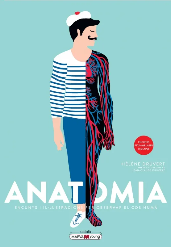 ANATOMIA. ENCUNYS I IL.LUSTRACIONS PER OBSERVAR EL COS HUMÀ