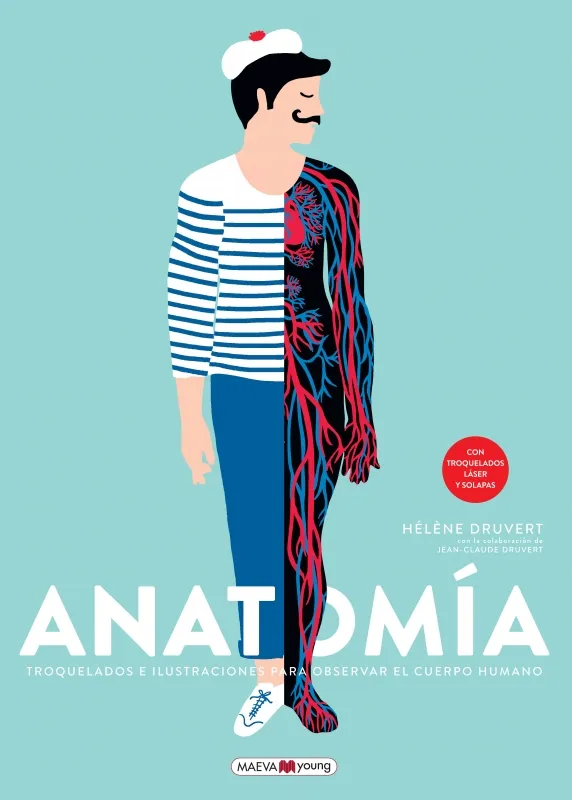 ANATOMIA -CASTELLA-