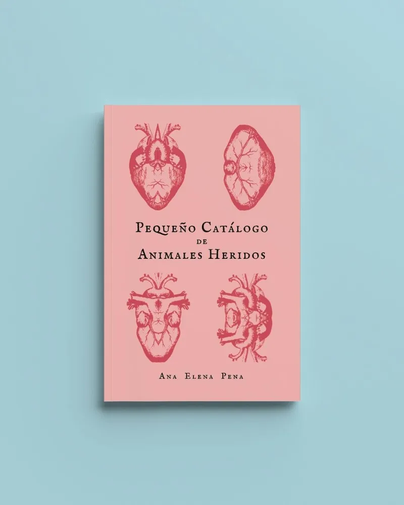 PEQUEÑO CATALOGO DE ANIMALES HERIDOS