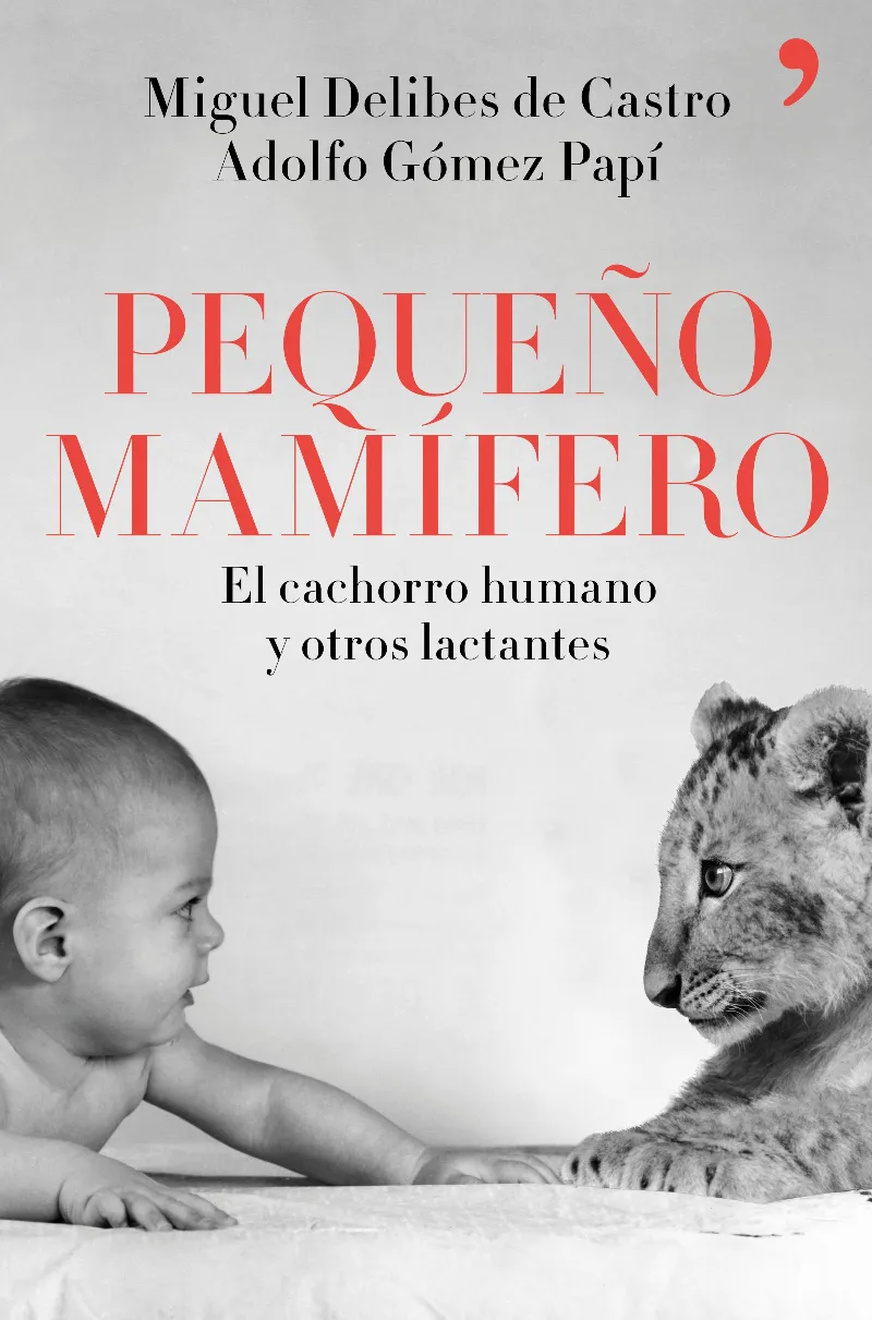 PEQUEÑO MAMIFERO