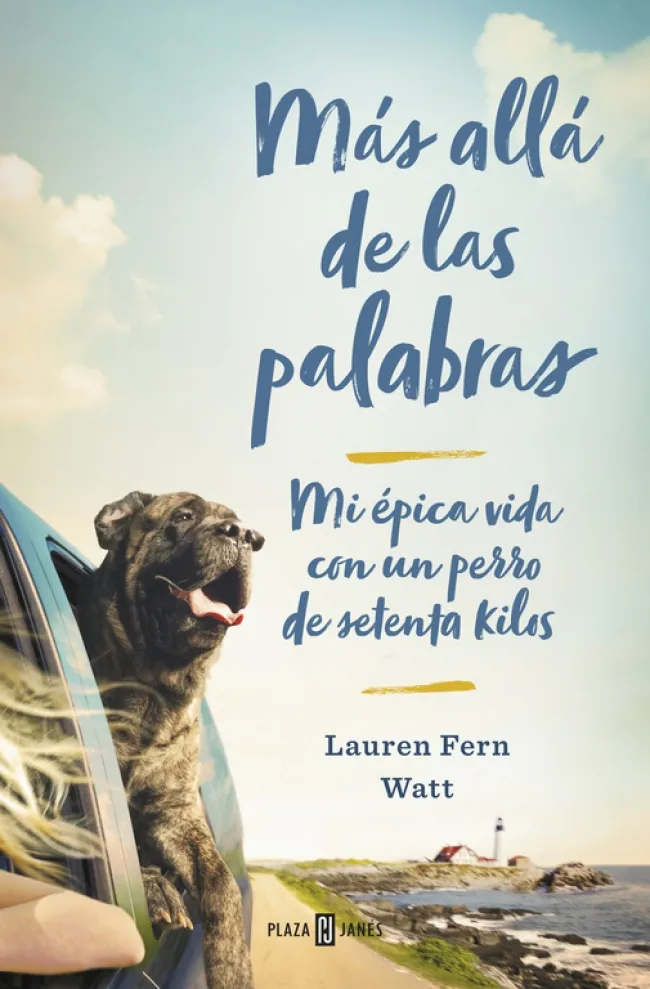 MAS ALLA DE LAS PALABRAS