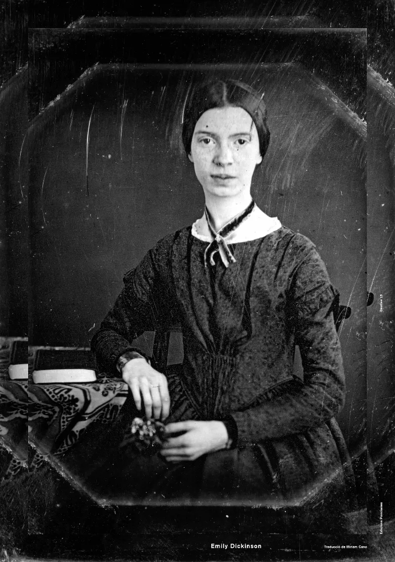 EMILY DICKINSON